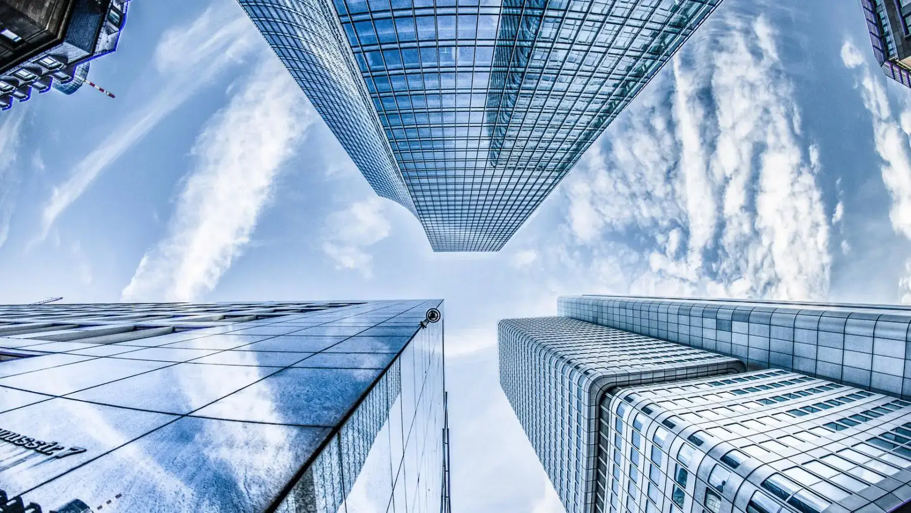 Molin & CO - Expertos en Derecho