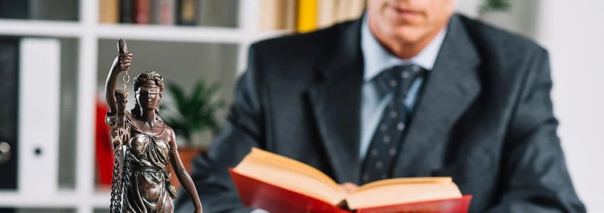 Litigations and Mediation       