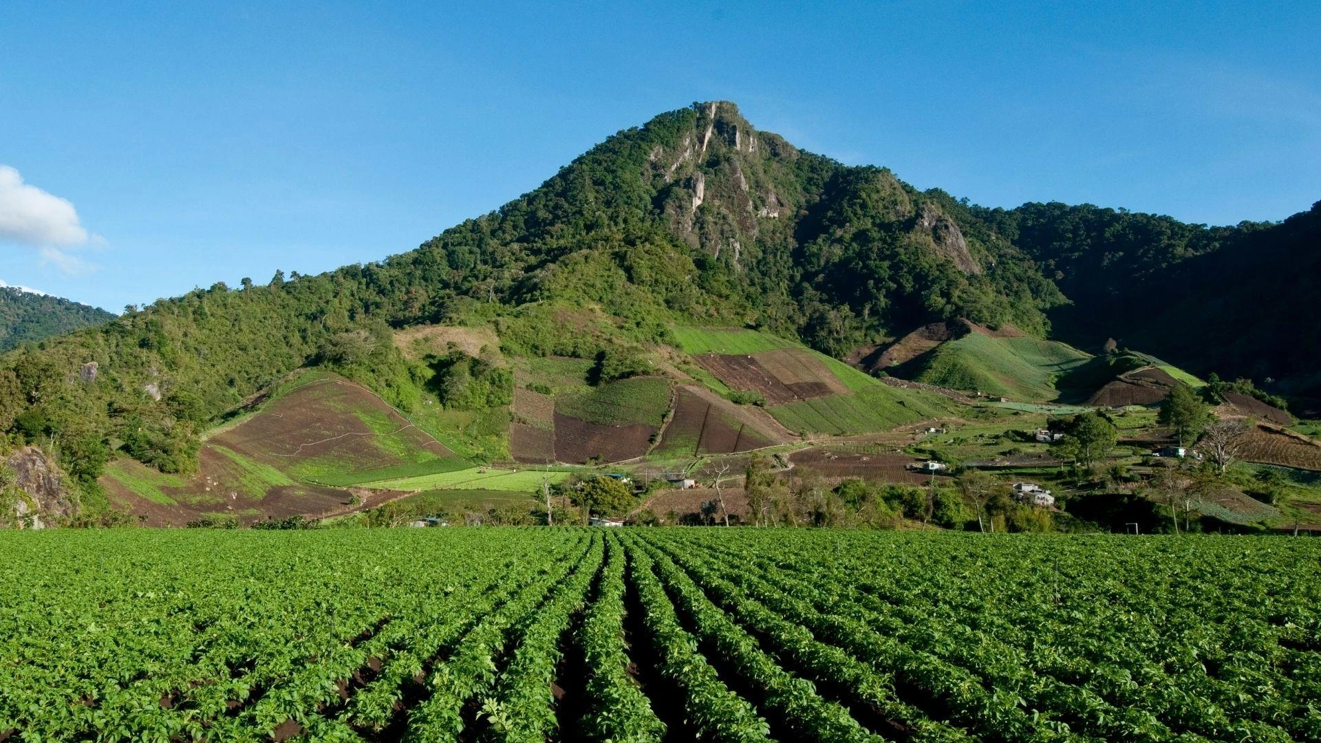  Investment opportunities in Panama 