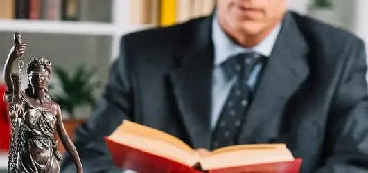 Litigations and Mediation      