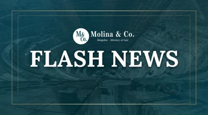 Molina & CO